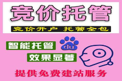 百度竞价赚钱的五大策略及成功案例解读